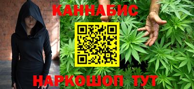 прущие крисы Кингисепп