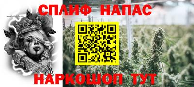 jwh Кинель
